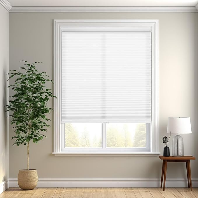 Changshade Cordless Cellular Shades, Light Filtering Honeycomb Shades for Windows, Pull Down Pleated Blinds, Easy to Install for Indoor Windows and French Doors,22" W x 48" H, White