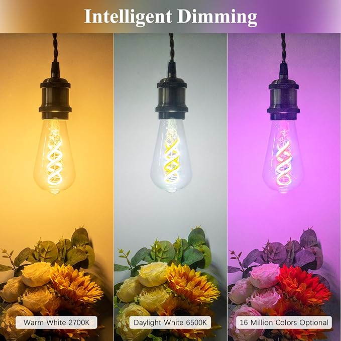 DiCUNO Smart Edison Bulb ST19, Color Changing WiFi Smart Light Bulb, 2700K-6500K Tunable via App, ST58 Edison Bulb, Compatible with Alexa & Google Home, 5W (50 Watt Equivalent), 500lm, 1-Pack