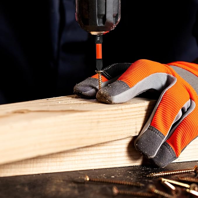 Pro PH2 Screwdriver Bit Set - Phillips Screwdriver 10 pieces, 50mm length, 1/4" hex shank bit assortment, with Storage Box