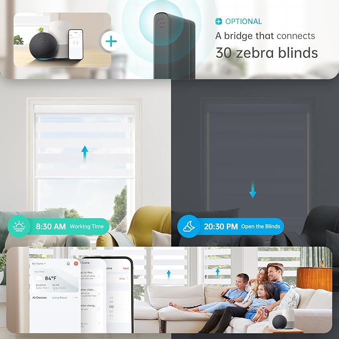 DENFOON Motorized Zebra Blinds, Solar Powered Dual Layer Automatic Shades with Remote Control, Rechargeable Smart Blinds Horizontal Wireless Electric Shades for Windows, Custom Size, White， 34½ x 72