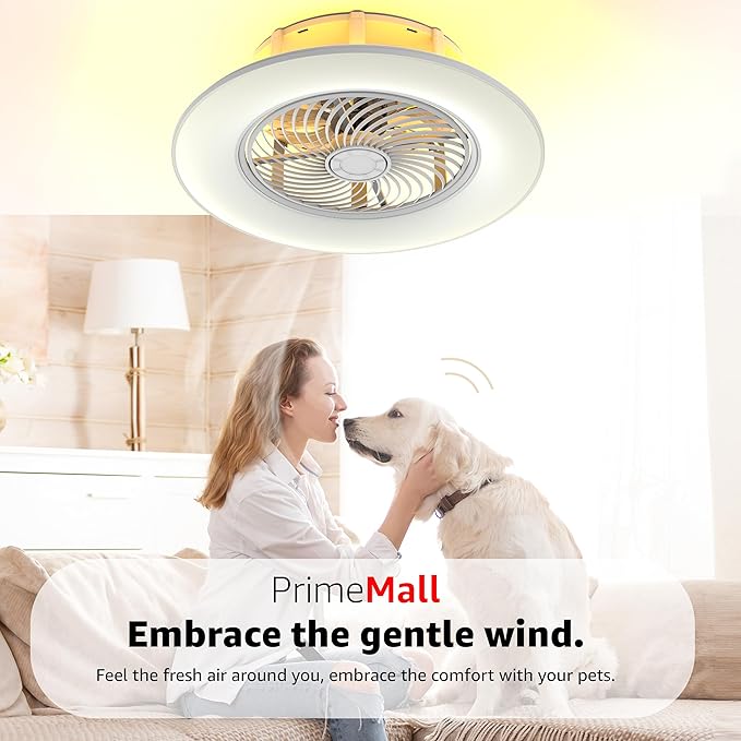 Ceiling Fans with Lights and Remote Control 22 inch with Ambient Light Bladeless Low Profile Ceiling Fan Flush Mount Enclosed Smart Ceiling Fan Light LED Dimmable Lighting (Moonlight Model)