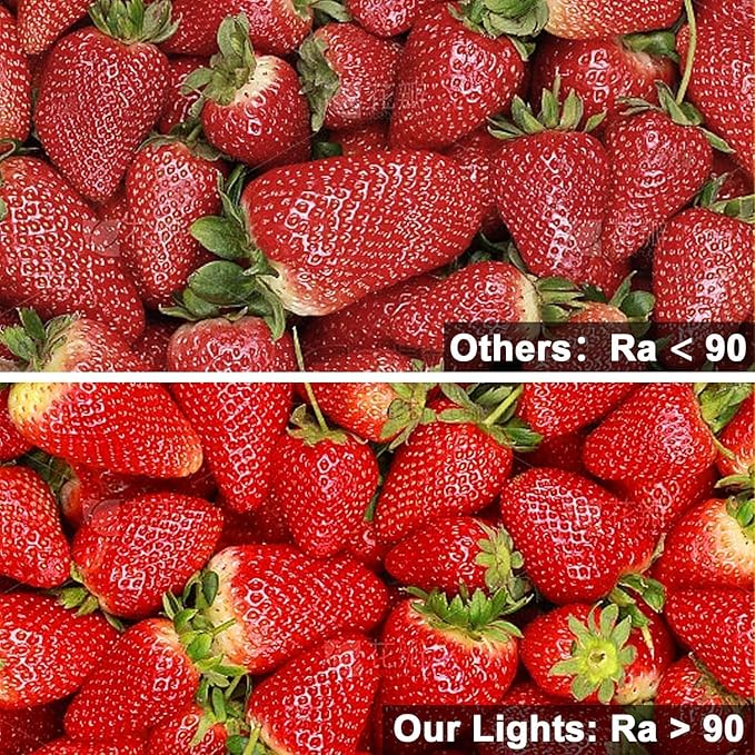 VST 12V 8mm 16.4ft/5m COB LED Strip Lights, Warm White 2700K, Dimmable LED Tape Light,9.6w/m,2400 LEDs, Ra 93+, IP30, Lighting for Kitchen, Cabinets, UL Listed(NOT Include Driver)