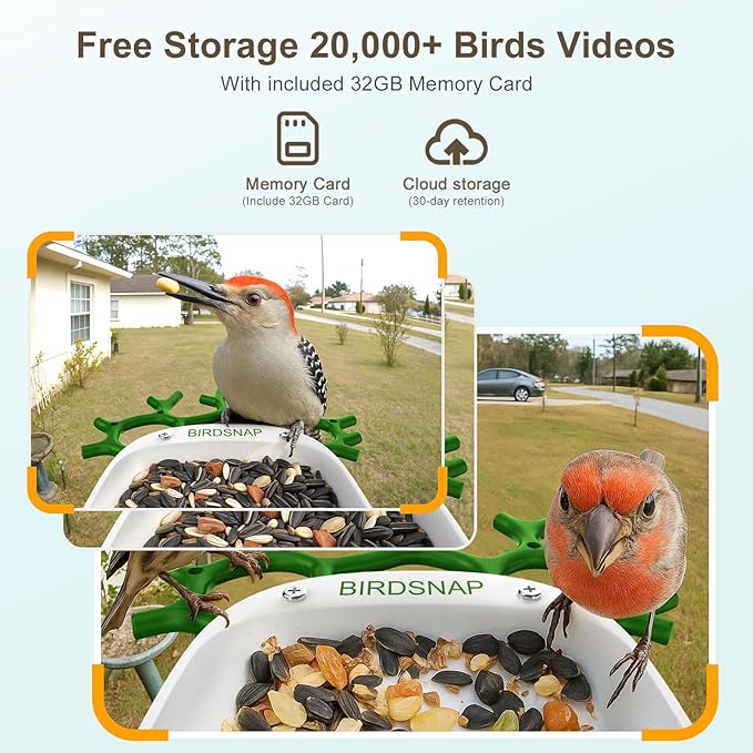 birdsnap® P33 - Bird Feeder with Camera Solar Powered, 2K Video Bird Camera Feeder Live with 32GB Card, AI Identify Feather Species, Auto Record in Backyard, for Birds Lover
