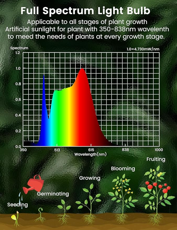 Full Spectrum Light Bulb, LED Light Bulb G45 Small Lightbulbs E26 White 5W Eq 40W Sunlight Night Appliance Bulb for Home, Growing, Plant, Freezer, Lamp (1 Natural White Bulb)