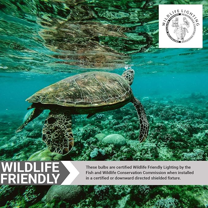 Sunlite A19/3W/O/LED LED A19 Colored Light Bulb, 3 Watts (25w Equivalent), E26 Medium Base, Non-Dimmable, UL Listed, 1 Count (Pack of 1), Orange