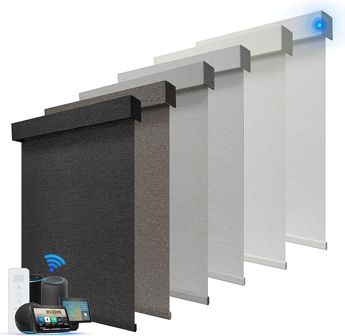 Motorized Blinds with Remote, Light Filtering Smart Roller Blinds Compatible with Apple Homekit Google Home and Alexa, Automatic Window Blinds Customize, Black