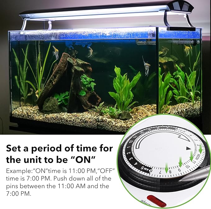 BN-LINK 8 Outlet Surge Protector with Mechanical Timer (4 Outlets Timed, 4 Outlets Always On) - White