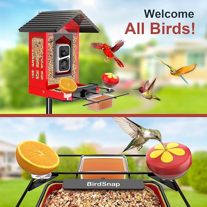 birdsnap® APS - Metal Bird Feeder with Camera Solar Panel 32GB Card, AI Identify 10000+ Birds Camera Feeder, 3 DIY Add-ons, 2K HD Live View Auto Record Bird Video, Ideal Gift for Birds Lover