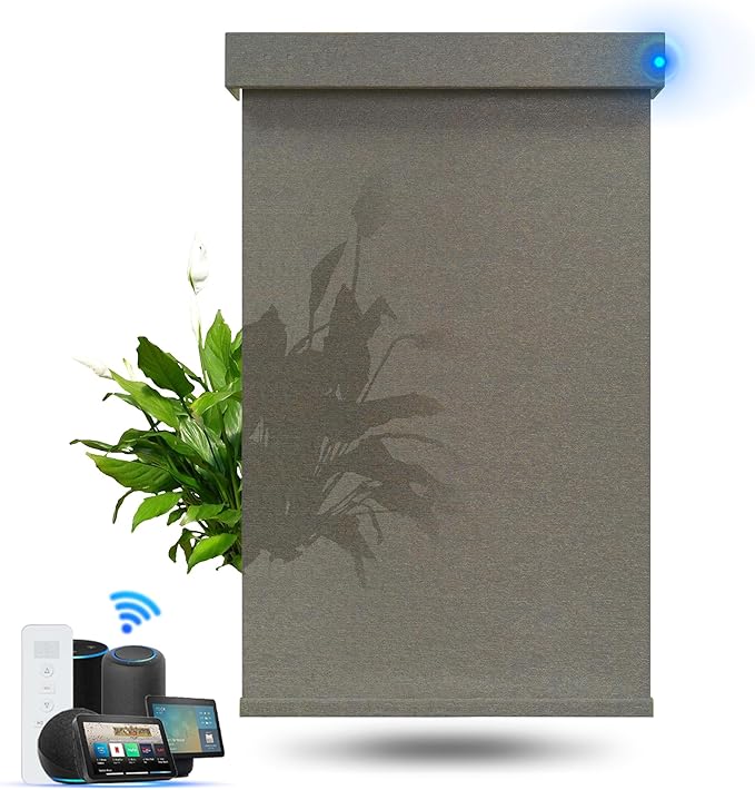 Motorized Blinds with Remote, Light Filtering Smart Roller Blinds Compatible with Apple Homekit Google Home and Alexa, Automatic Window Blinds Customize, Coffee