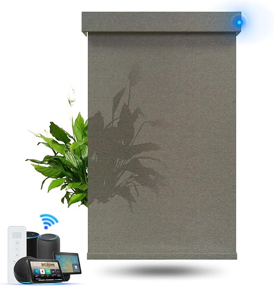 Motorized Blinds with Remote, Light Filtering Smart Roller Blinds Compatible with Apple Homekit Google Home and Alexa, Automatic Window Blinds Customize, Coffee