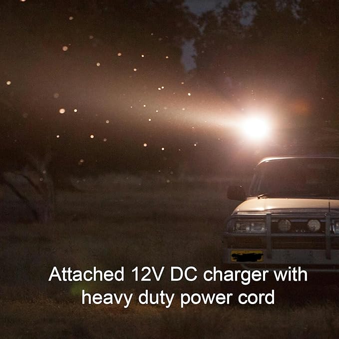 GOODSMANN Spotlight Corded Spot Lights for Boats 1200 Lumen Halogen 12V DC Handheld Spotlight 9924-0011-15