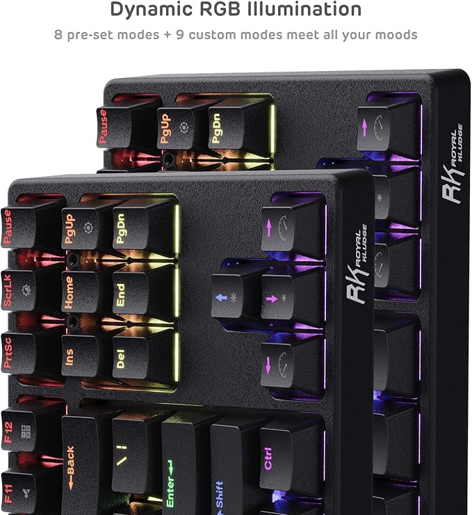 RK ROYAL KLUDGE RK87 Sink87G RGB Wireless TKL Mechanical Gaming Keyboard, 87 Keys No Numpad Tenkeyless Compact 2.4G Wireless Keyboard with Tactile Brown Switches, Exceptional Macro Settings