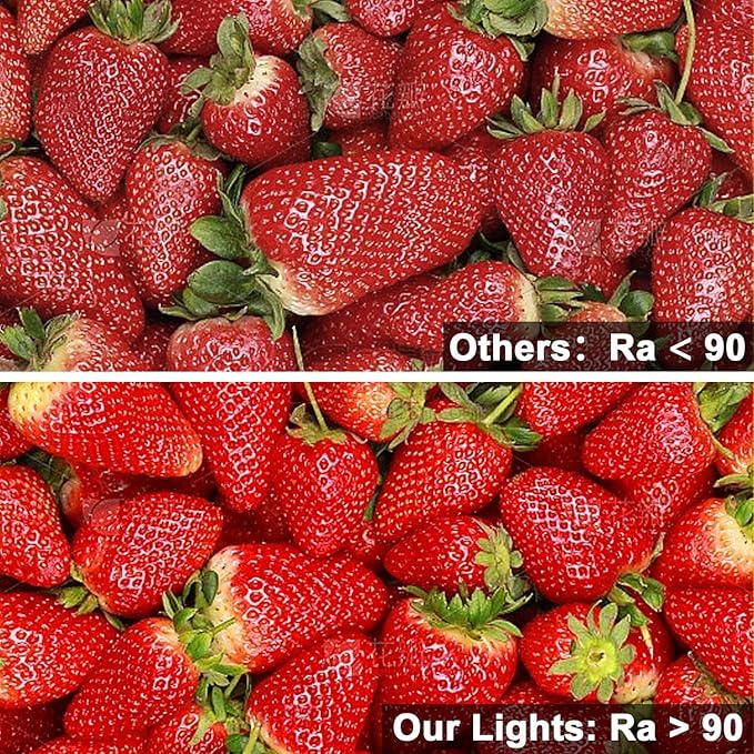 VST 16.4ft COB LED Strip Lights Warm White 2700K, 24V Dimmable LED Tape Light, 48w, 2640 LEDs, Ra 93+, IP30, Lighting for Kitchen, Cabinets, UL Listed (Power Source Not Included)