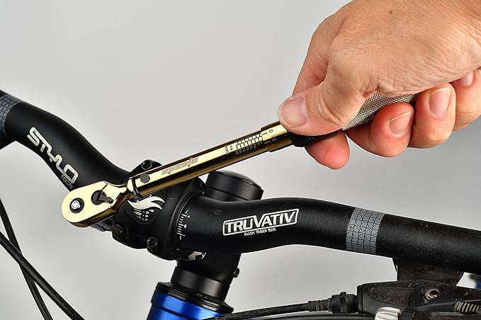 EPAuto Bike Tool 1/4 Inch Drive Click Torque Wrench Set (2 to 20 Nm), Hex/Torx Bit Socket Extension Bar Bicycle Maintenance Kit, Gold
