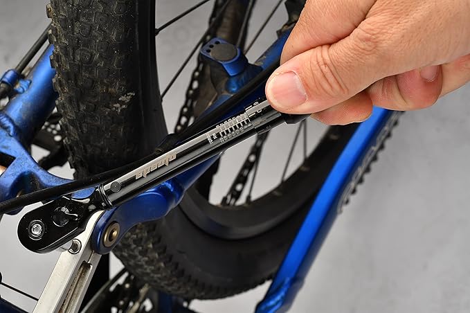 EPAuto Bike Tool 1/4 Inch Drive Click Torque Wrench Set (2 to 20 Nm), Hex/Torx Bit Socket Extension Bar Bicycle Maintenance Kit, Black