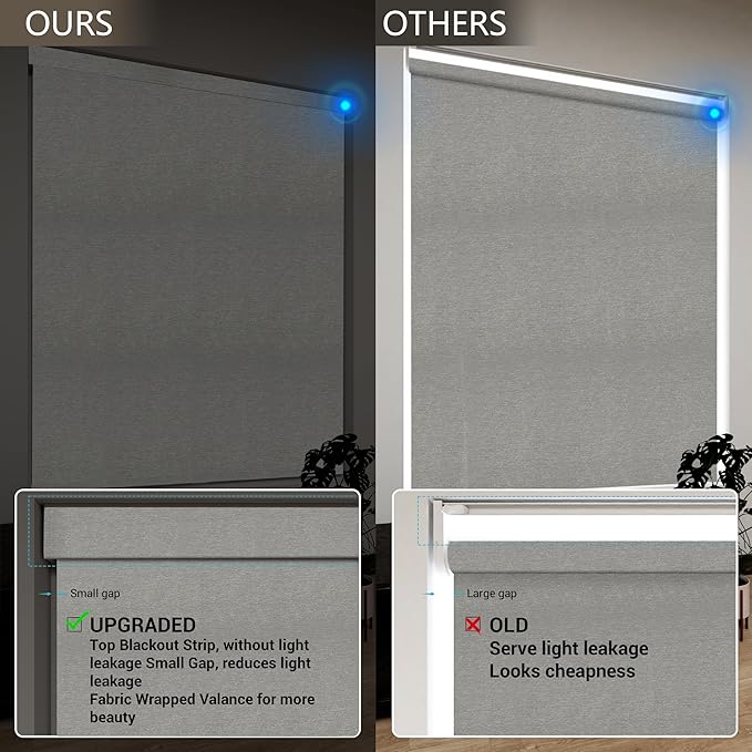 Motorized Blinds with Remote, Light Filtering Smart Roller Blinds Compatible with Apple Homekit Google Home and Alexa, Automatic Window Blinds Customize, Dark Grey