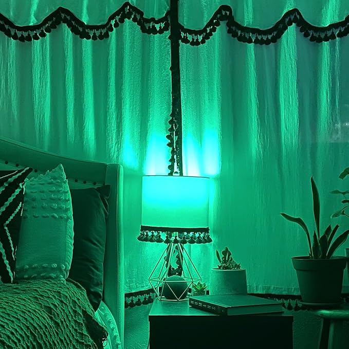 Feit Electric A19/TG/LED 40W Equivalent 4.5 Watt Dimmable Filament Clear Glass A19 LED Light Bulb, Green