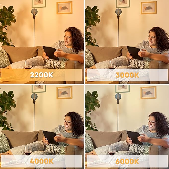 Unique Stained Glass Light Bulbs, Low Lumen Eye-Caring Soft Dim Lighting for Mood (Not Daylight White) 55LM, Oversized Globe Decorative Dimmable LED Bulb 3.5W, E26 Medium Base, Smoke RN G125