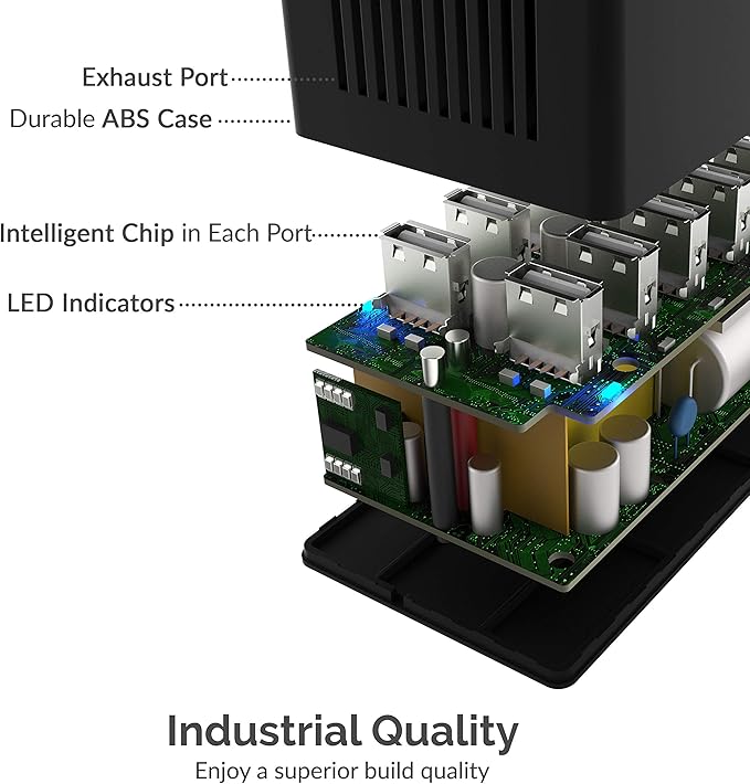 Sabrent 60 Watt (12 Amp) 10-Port [UL Certified] Family-Sized Desktop USB Rapid Charger. Smart USB Ports with Auto Detect Technology [Black] (AX-TPCS)