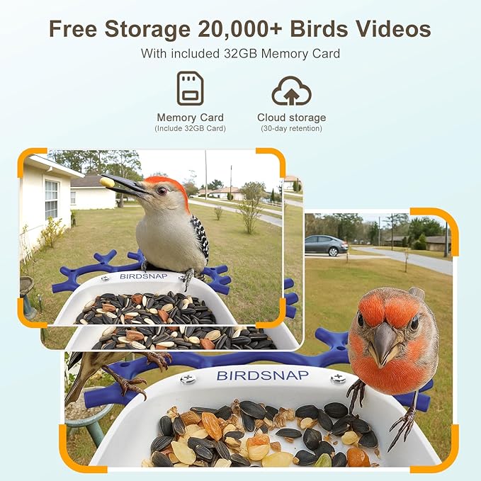 birdsnap® P33 - Bird Feeder with Camera Solar Powered, 2K Video Bird Camera Feeder Live with 32GB Card, AI Identify Feather Species, Auto Record in Backyard, for Birds Lover