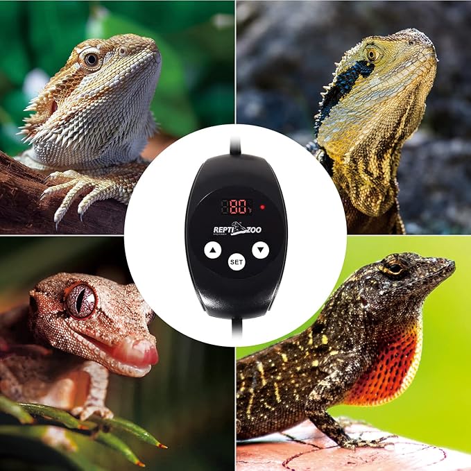 REPTIZOO Dimming Thermostat, PID Temperature Controller with Memory Function, Reptile Thermostat for Reptile Heat lamp, Specifically Designed for Light Heat Bulbs & Heaters