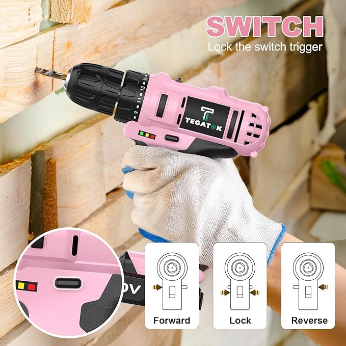Cordless Pink Drill Set, 3/8 Drill Handheld Screwdriver Kit with 18+1 Torque Setting, 20V Electric Drills Tools Bit, LED Electric Power Drills with Battery and Charger, 1 Battery