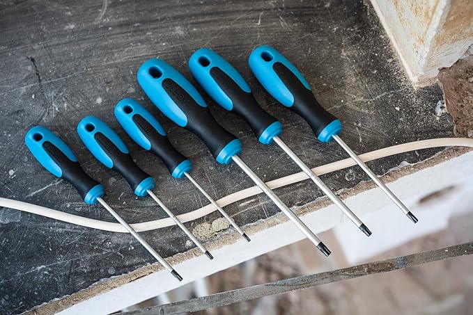 Hazet 810T/6 Screwdriver Set Torx 6 Piece