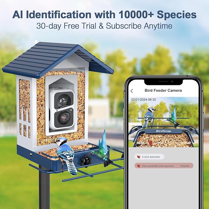 birdsnap® APS - Metal Bird Feeder with Camera Solar Panel 32GB Card, AI Identify 10000+ Birds Camera Feeder, 3 DIY Add-ons, 2K HD Live View Auto Record Bird Video, Ideal Gift for Birds Lover