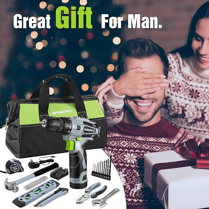 WORKPRO 12V Cordless Drill Driver and Home Tool Kit, Hand Tool Set for DIY, Home Maintenance, 14-inch Storage Bag Included