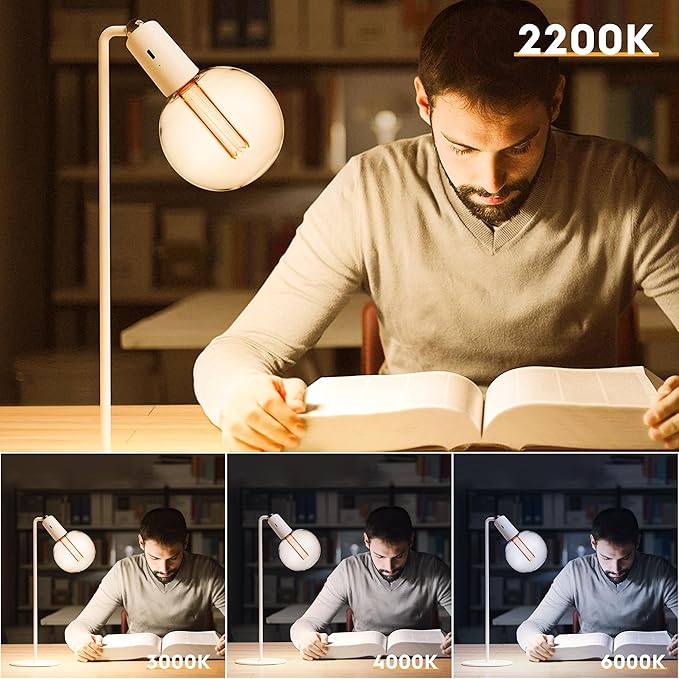 Large Globe Light Bulb, Vintage Edison Dimmable LED Bulb, 3.5W Low Lumen Eye-Caring Soft Dim Lighting for Mood(Not Daylight White), E26 Medium Base, Giant Round Glass Cover Clear RN G125