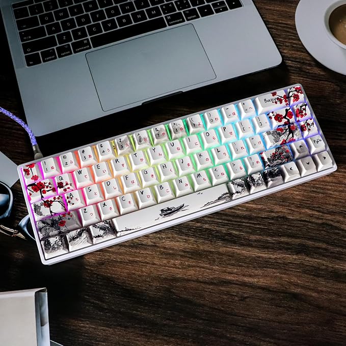 MOLGRIA GK68 68-Key RGB Backlit Gaming Keyboard with Plum Blossom Keycaps, Hot Swappable Red Mechinery Switches, Type C Wired Mechanical Keyboard for Win/Mac OS
