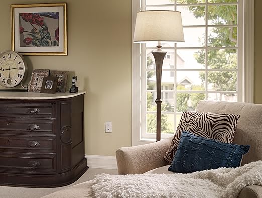 Leviton AFCI Outlet, 15 Amp, Self Test, Tamper-Resistant with LED Indicator Light, Protection from Electrical Fires, AFTR1-GY, Gray