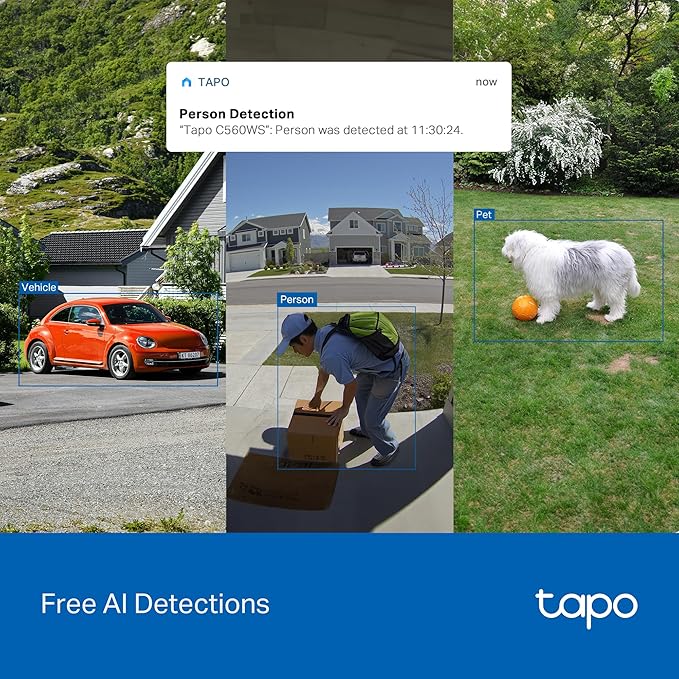 Tapo 4K 8MP Wired Pan/Tilt Outdoor Security Camera, Free Person/Vehicle Detect & 360° Motion Track, Color Night, Local AI, SD/Cloud Storage, Works w/Alexa & Google Home, 2.4 GHz WiFi C560WS