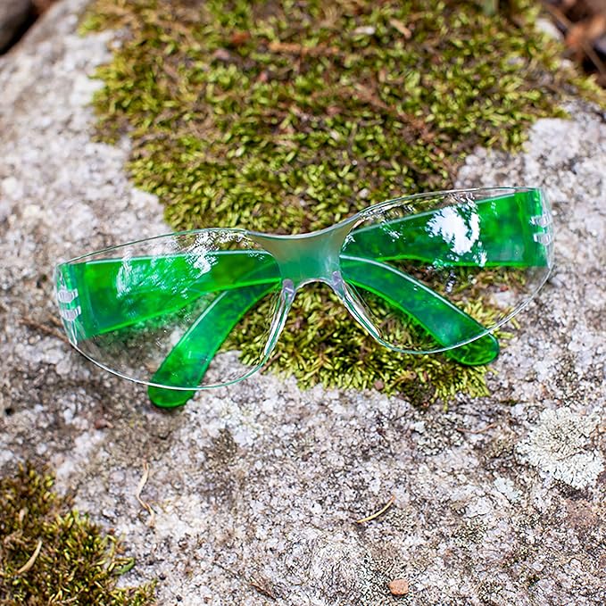 BISON LIFE Clear Lens Green Temple Safety Glasses BULK Case Pack 24 Pairs | ANSI Z87, Impact & Scratch Resistant, Clear Safety Glasses for Men and for Women, One Size, Adult, Youth
