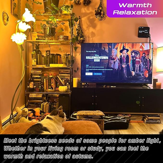 E26 Amber Light Bulbs 2000K, Warm Light Bulb 60W Equivalent, 800lm, A19 9W Soft Yellow Light Bulbs for Porch, Patio, Bedroom, Nursery, Healthy Sleep, Night Light, Non-Dimmable, 2 Pack