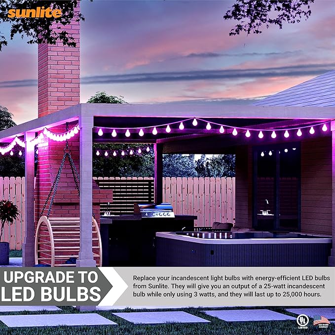 Sunlite 80132-SU LED A19 Standard a Type Light Bulb, 2 Pack, Purple