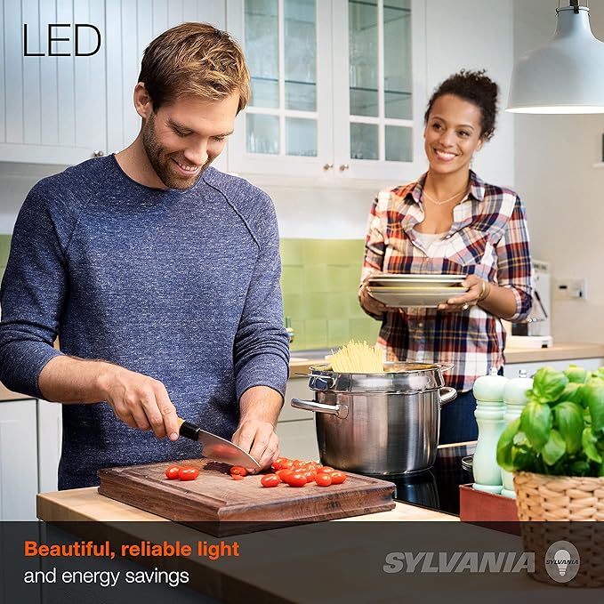 SYLVANIA ECO LED Light Bulb, A19, 100W Equivalent, Efficient 14.5W, 7 Year, 1450 Lumens, Frosted, 5000K, Daylight - 6 Count (Pack of 1) (40884)